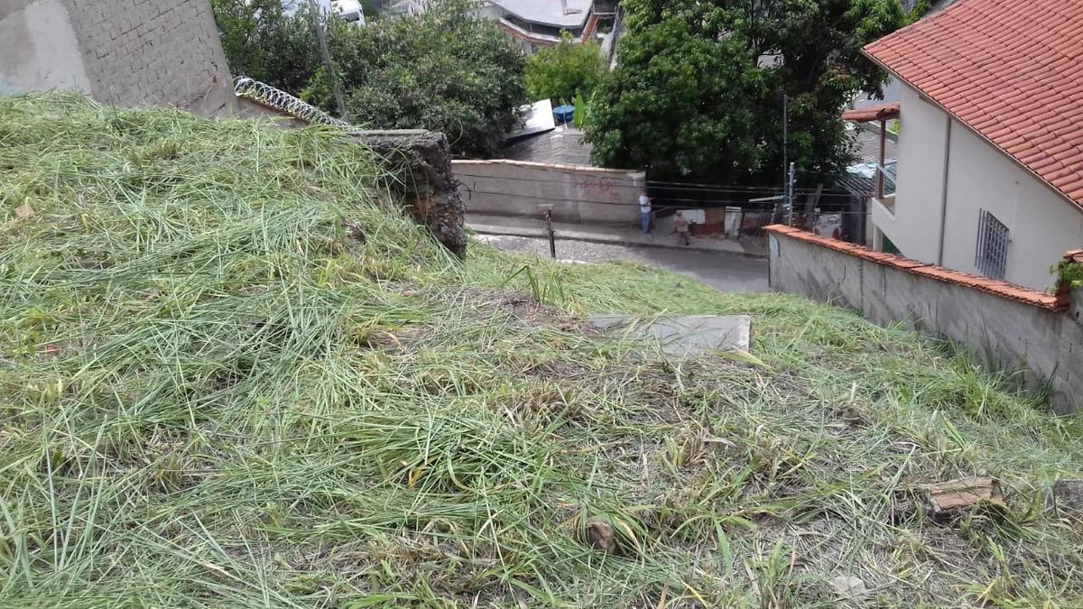 Lote, Nova Floresta, 0 Quarto, 0 Vaga