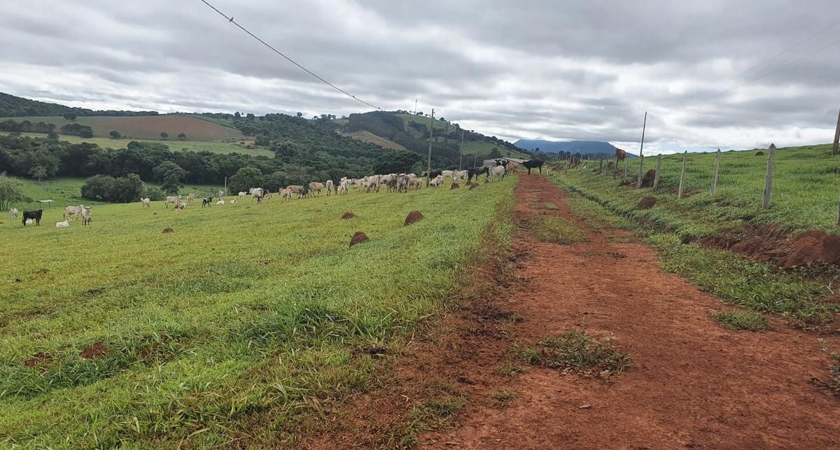 Fazenda, Zona Rural, 1 Quarto, 0 Vaga
