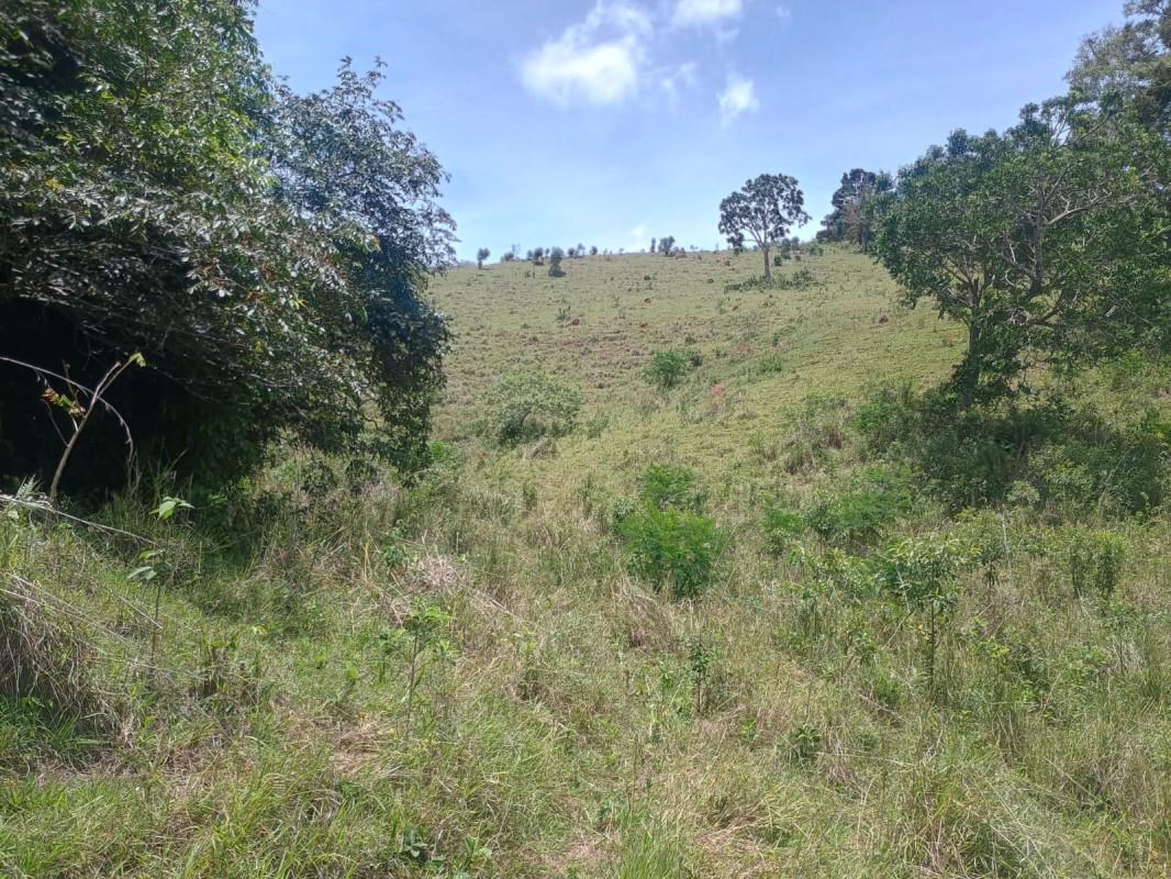 Fazenda, Centro, 0 Quarto, 0 Vaga