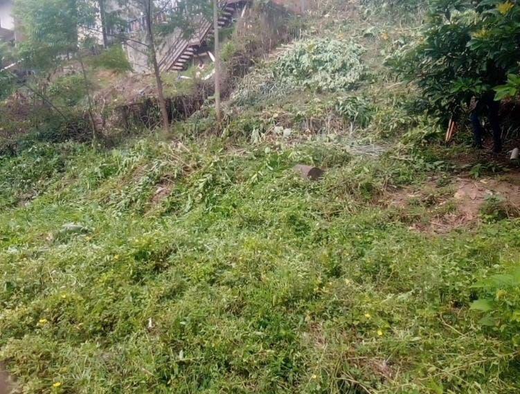 Lote, Vila Santa Cruz, 0 Quarto, 0 Vaga