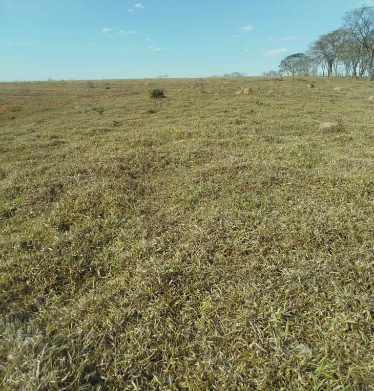 Fazenda, Zona Rural, 0 Quarto, 0 Vaga