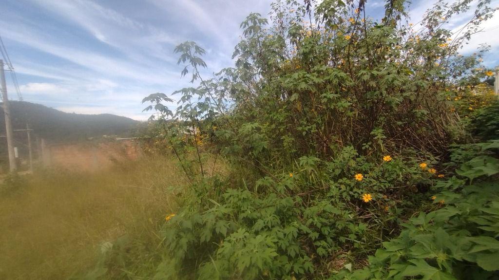 Lote, Paciência, 0 Quarto, 0 Vaga