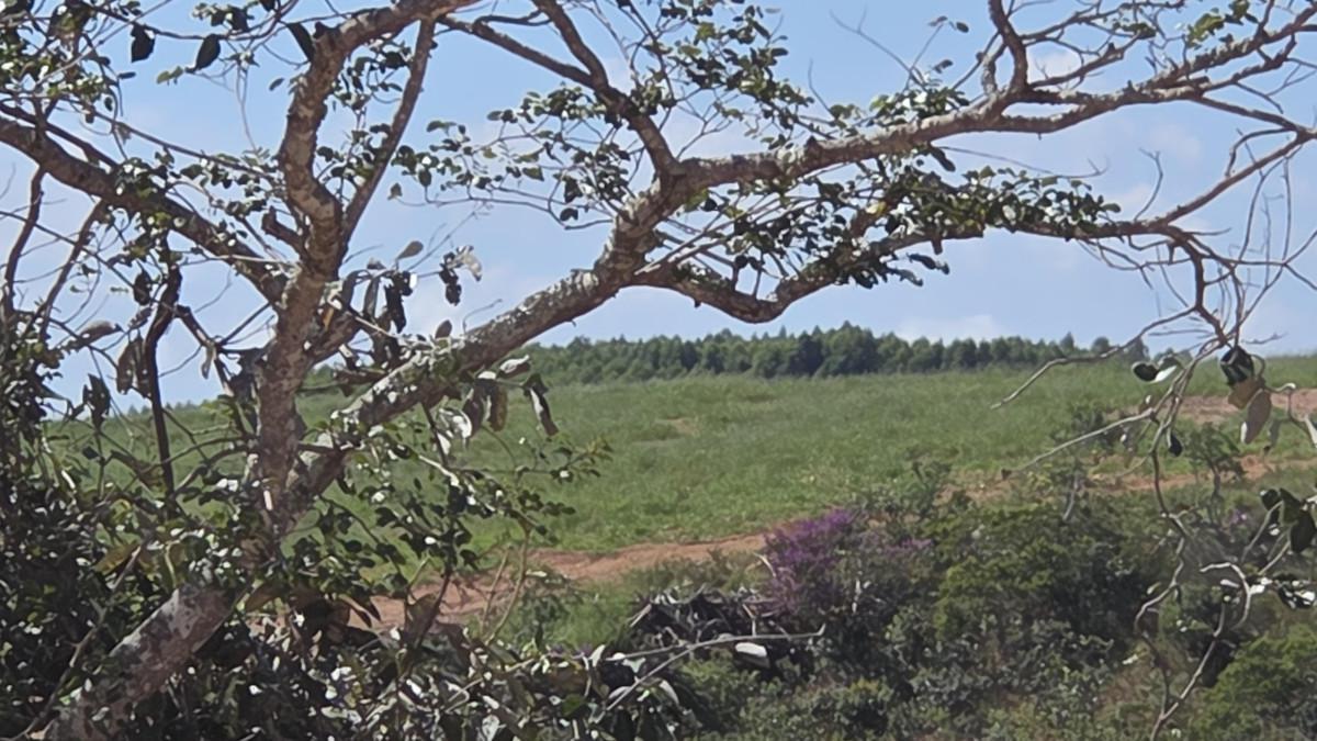 Fazenda, Zona Rural, 0 Quarto, 0 Vaga