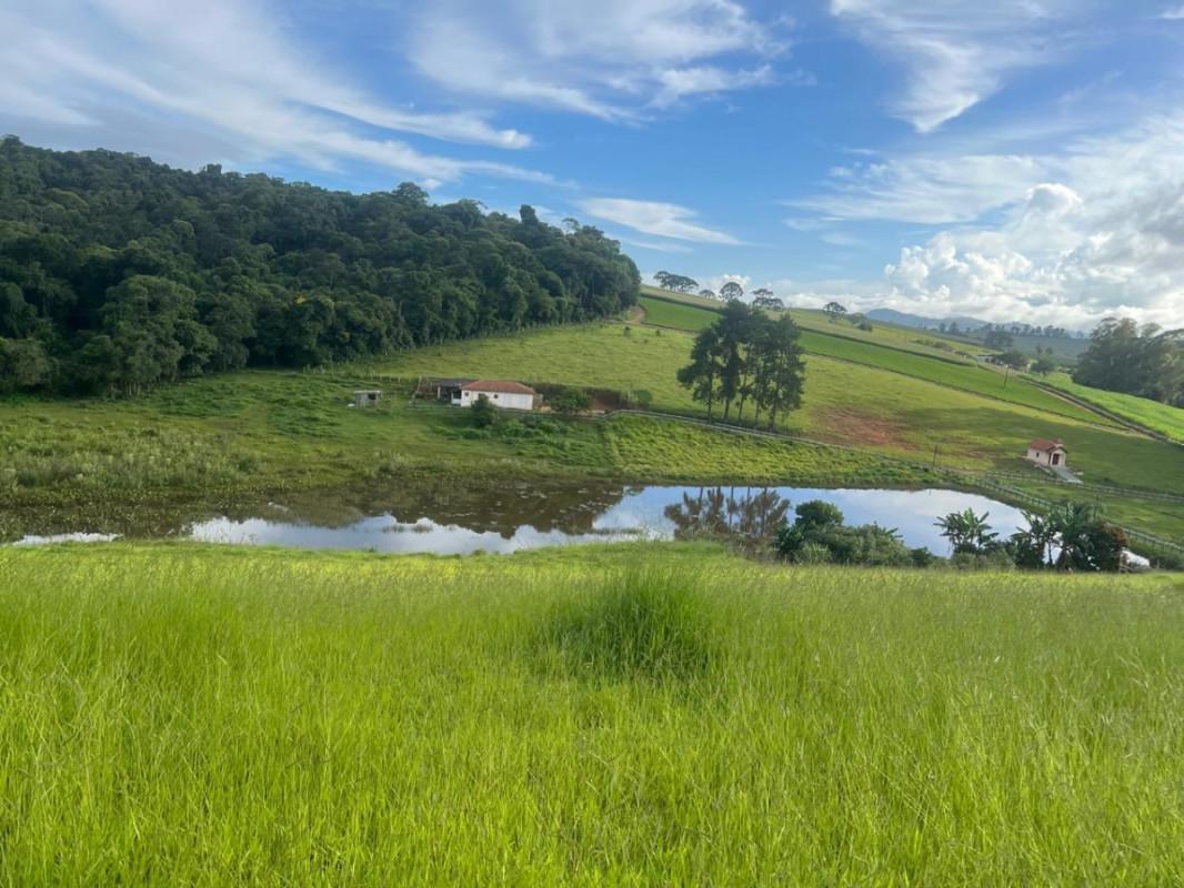 Fazenda, Zona Rural, 0 Quarto, 0 Vaga