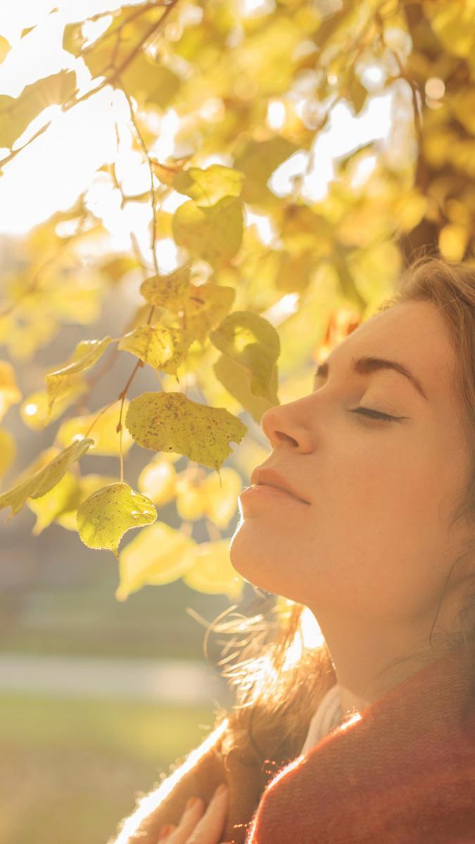 Lote, Fernão Dias, 0 Quarto, 0 Vaga