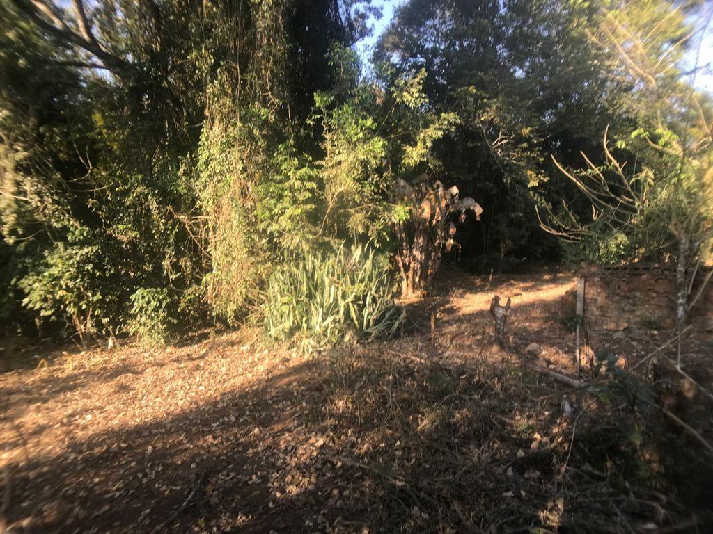 Fazenda, Centro, 4 Quartos, 0 Vaga