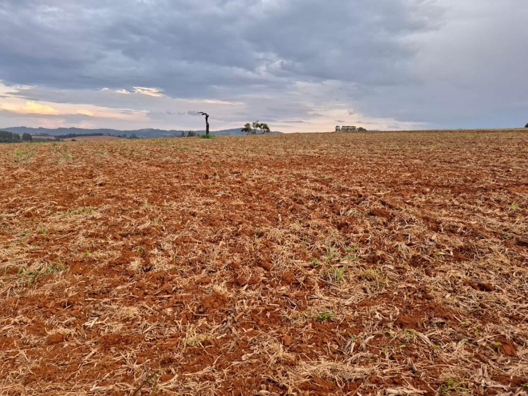 Fazenda, Zona Rural, 0 Quarto, 0 Vaga