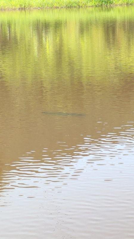 Fazenda, Centro, 0 Quarto, 0 Vaga