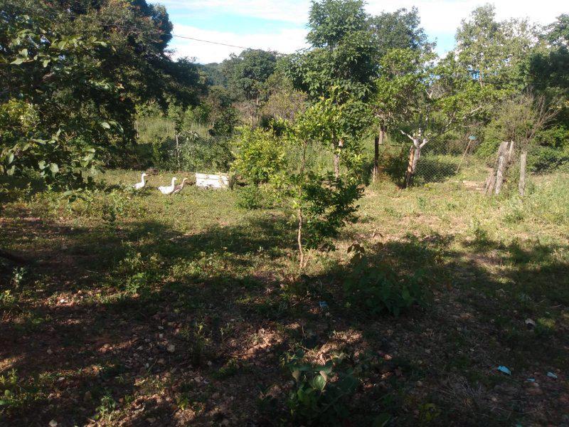 Fazenda, Centro, 3 Quartos, 0 Vaga