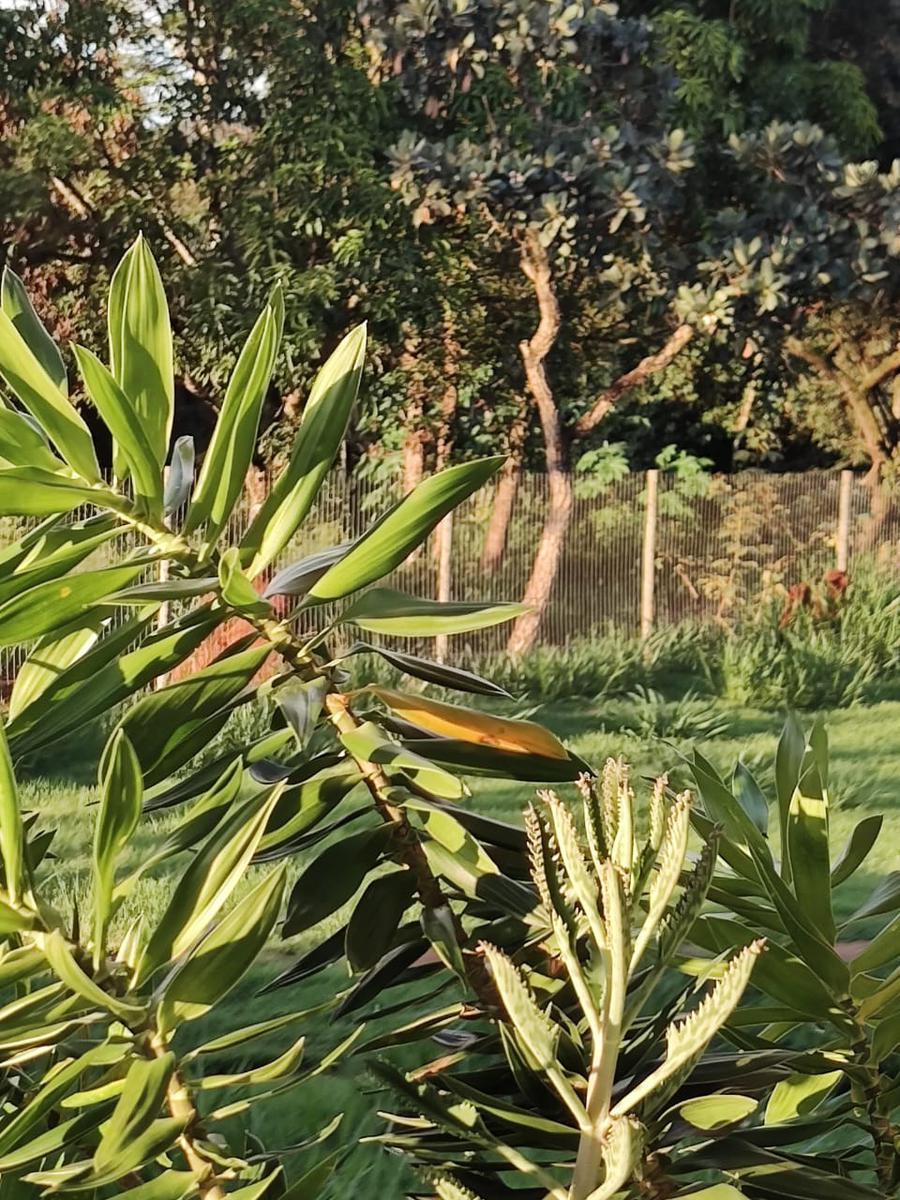 Fazenda, Centro, 4 Quartos, 10 Vagas, 2 Suítes