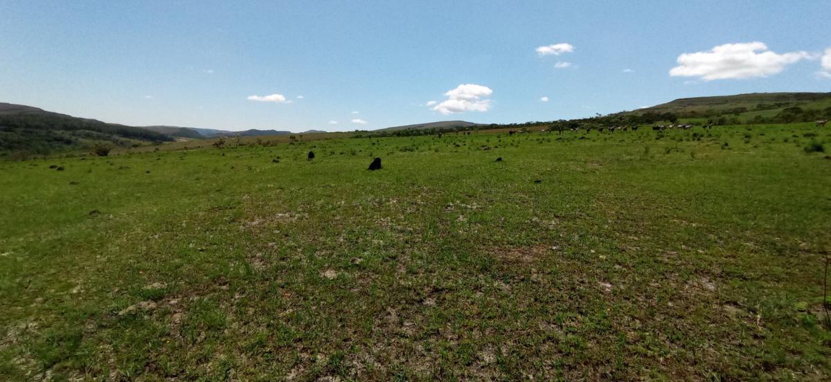 Fazenda, Zona Rural, 0 Quarto, 0 Vaga