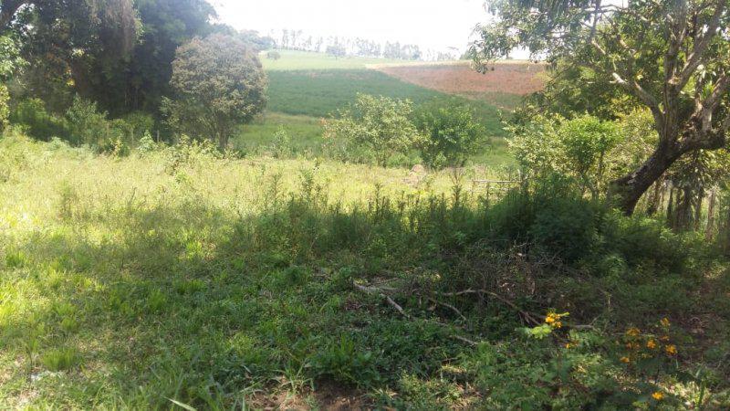 Fazenda, Guedes, 0 Quarto, 0 Vaga