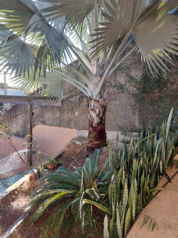 Casa, Santa Inês, 3 Quartos, 2 Vagas, 1 Suíte