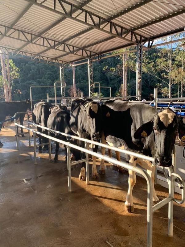 Fazenda, Area Rural de Juiz de Fora, 0 Quarto, 0 Vaga