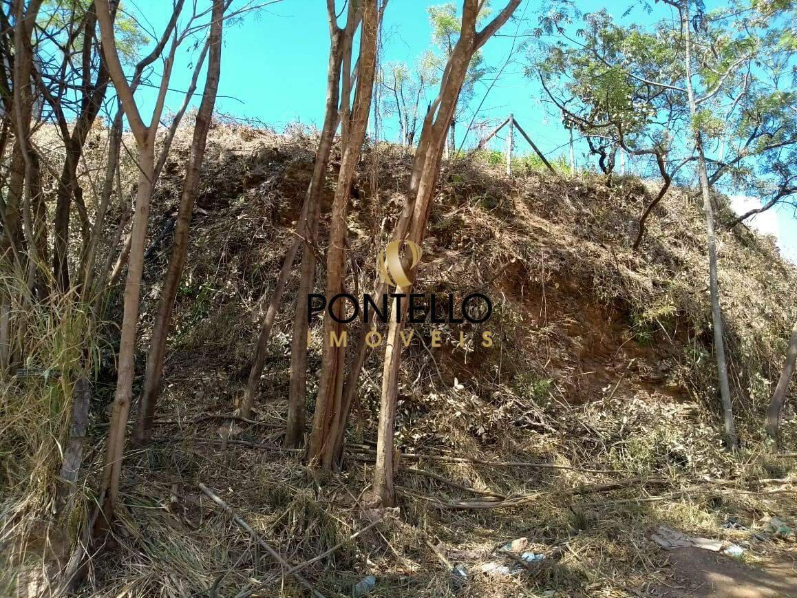 Lote, Estoril, 0 Quarto, 0 Vaga