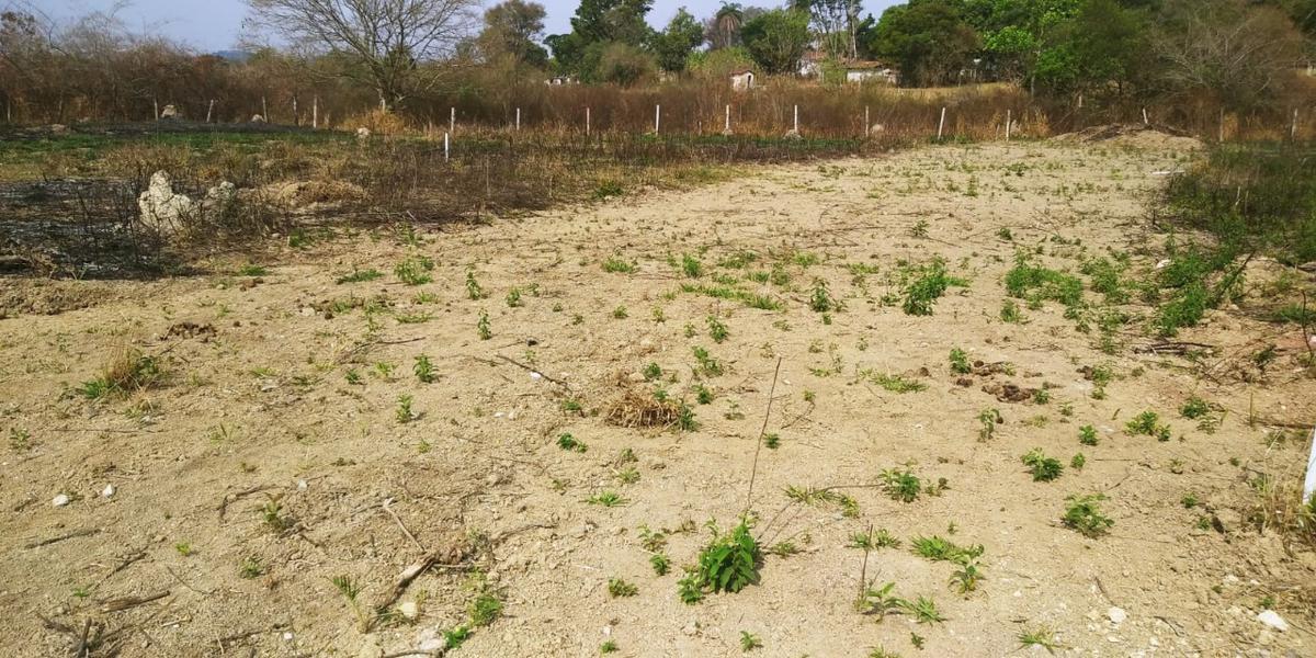 Lote, São José, 0 Quarto, 4 Vagas