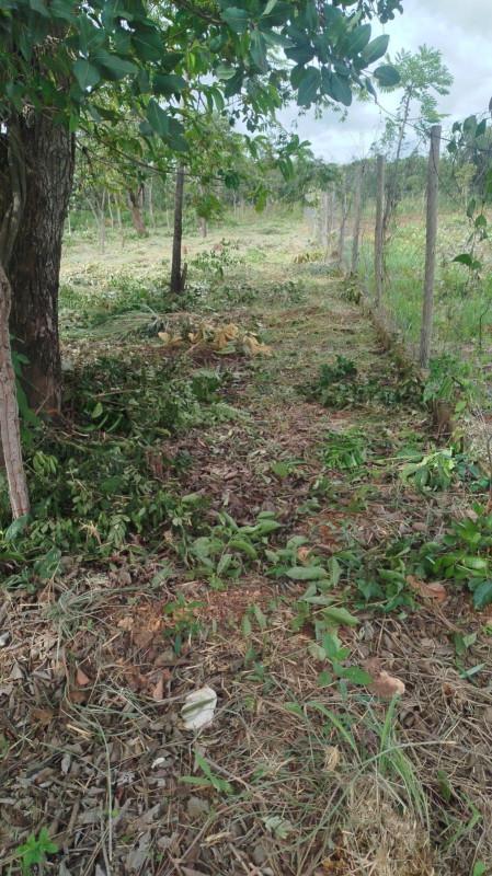 Lote, Zona Rural, 0 Quarto, 0 Vaga