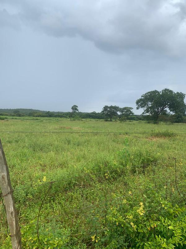 Fazenda, Zona Rural, 0 Quarto, 0 Vaga