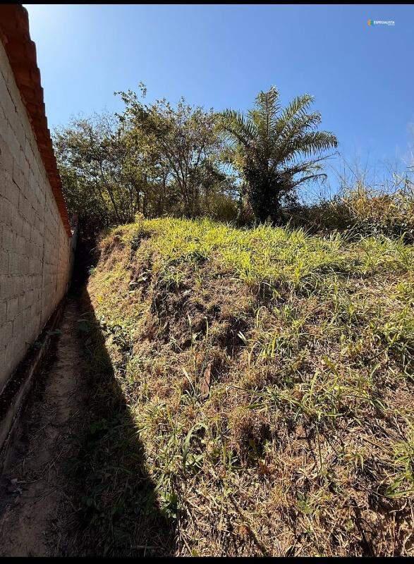 Lote, Centro, 0 Quarto, 0 Vaga