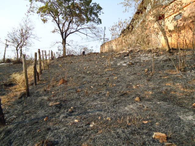 Lote, Quintas do Lago, 0 Quarto, 0 Vaga