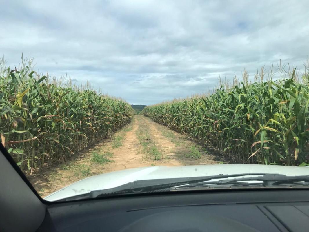 Fazenda, Zona Rural, 0 Quarto, 0 Vaga