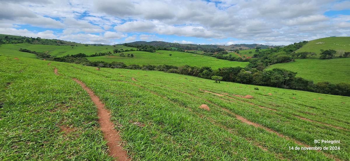 Fazenda, Centro, 3 Quartos, 0 Vaga