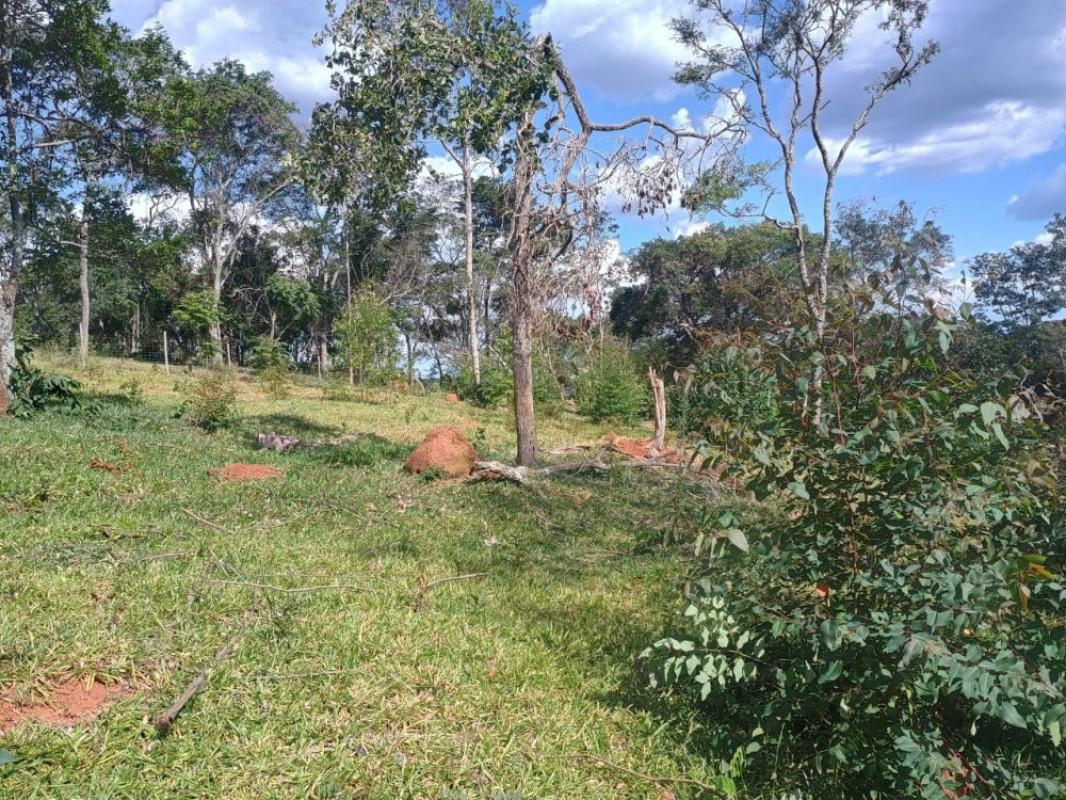 Lote, Centro, 0 Quarto, 0 Vaga