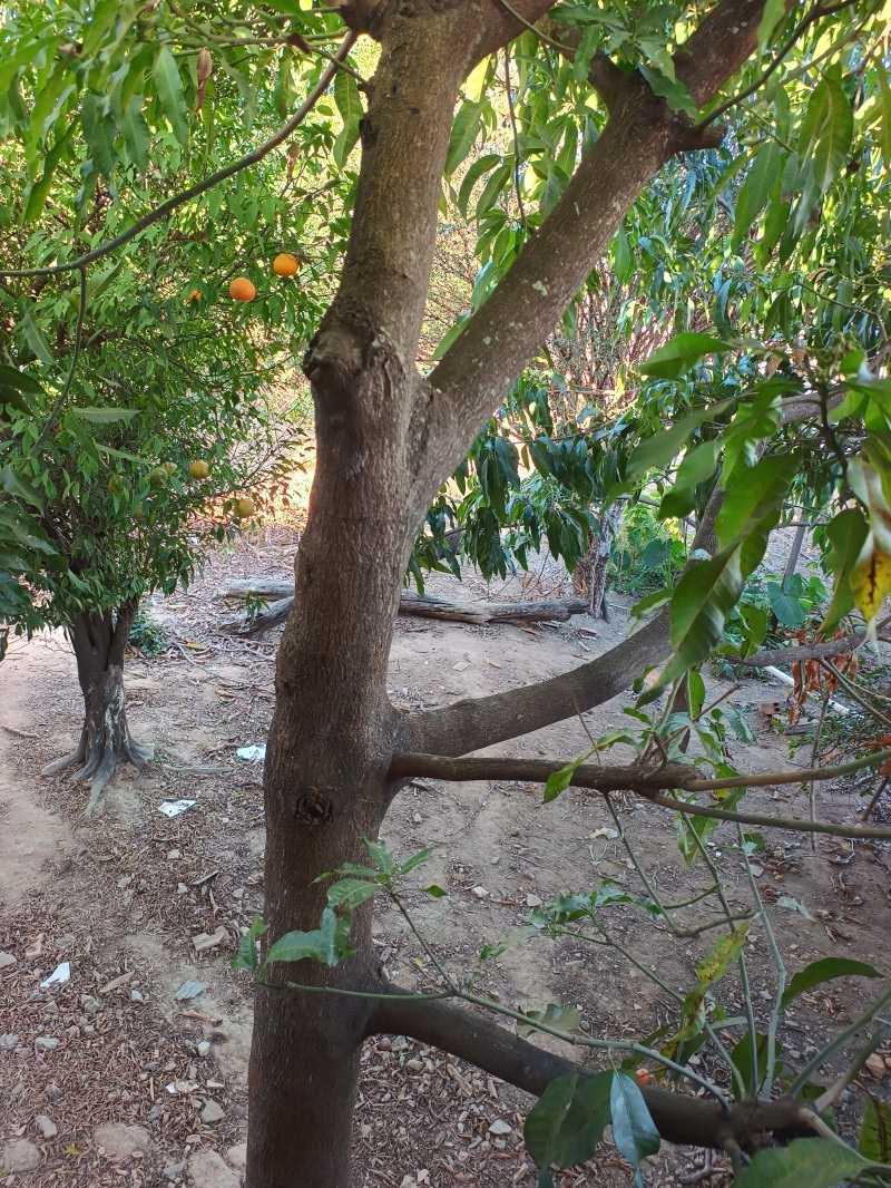 Casa, Vila Militar, 2 Quartos, 0 Vaga, 1 Suíte