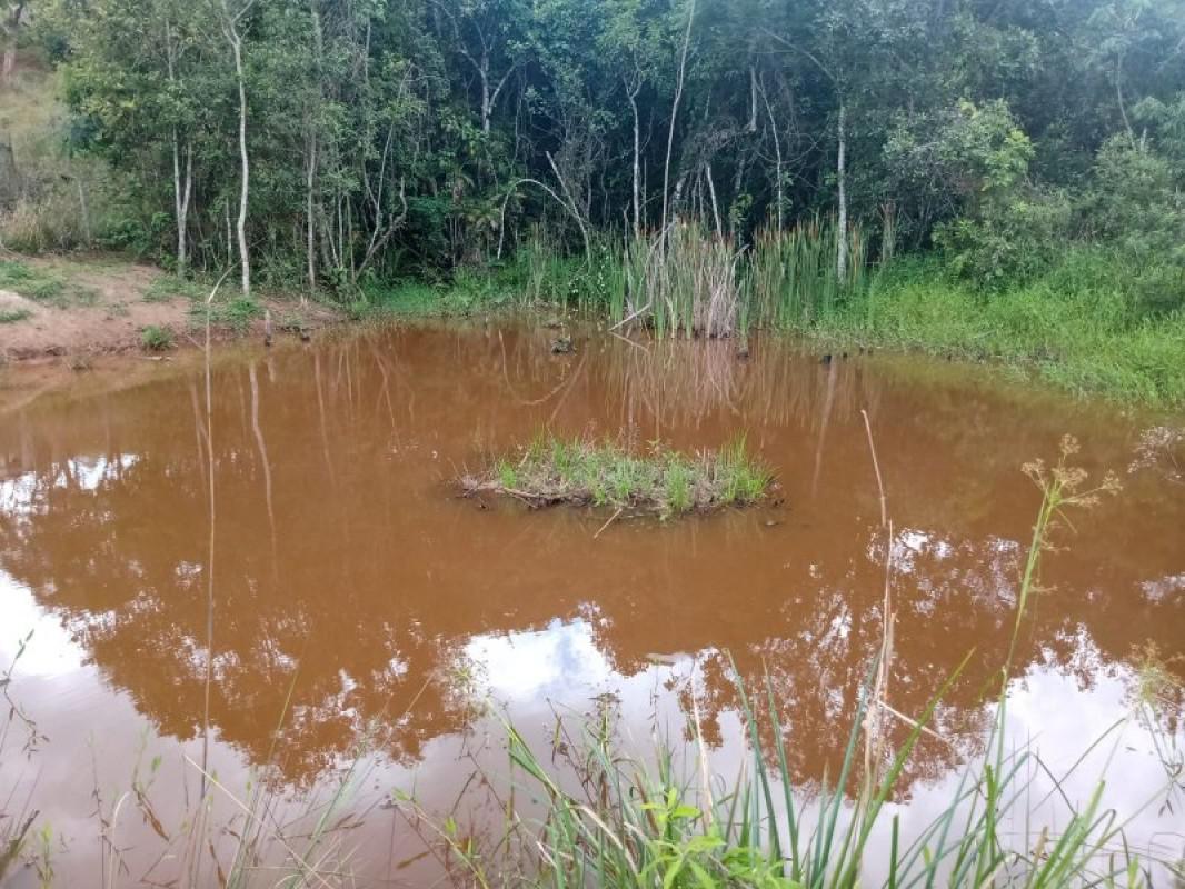 Fazenda, Centro, 0 Quarto, 0 Vaga