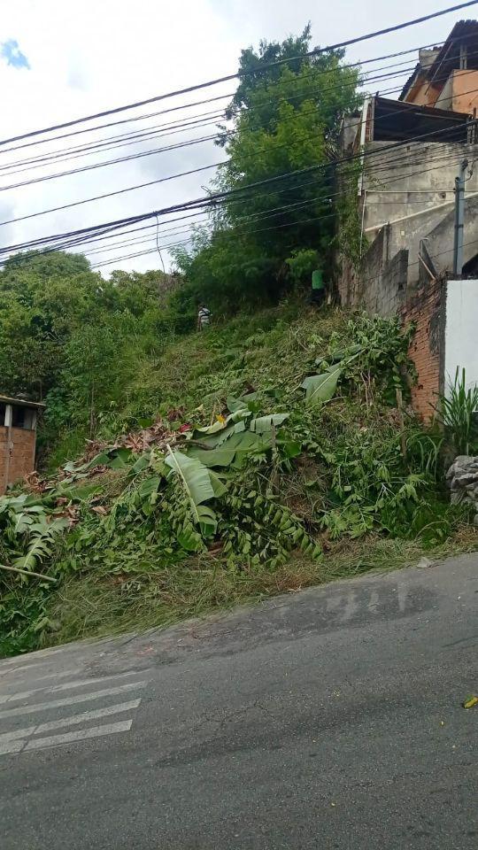Lote, Santa Maria, 0 Quarto, 0 Vaga