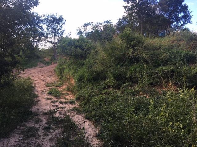 Lote, Zona Rural, 0 Quarto, 0 Vaga