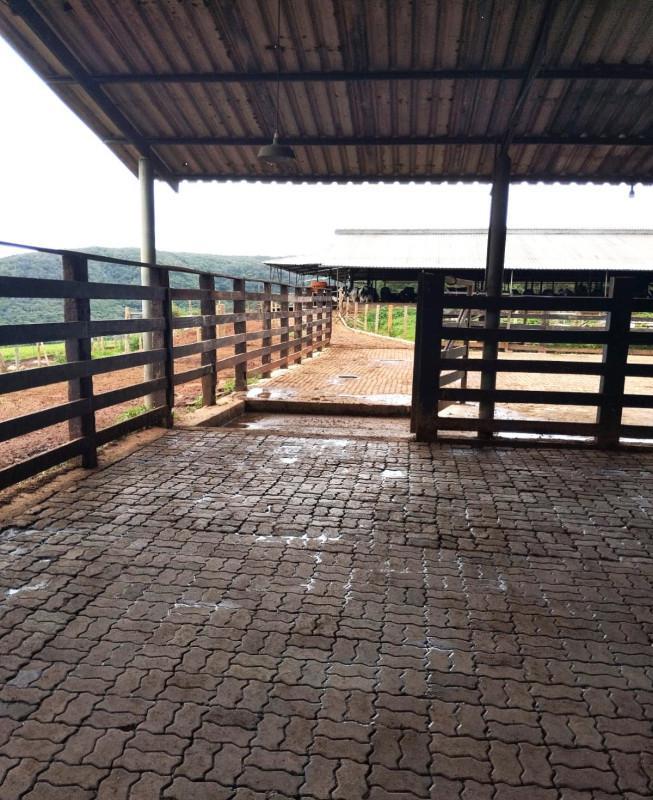 Fazenda, Área Rural de Pará de Minas, 0 Quarto, 0 Vaga