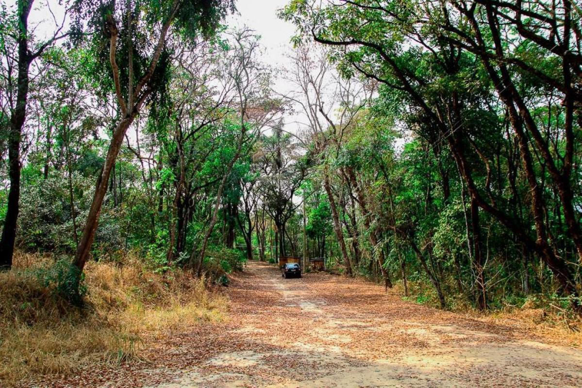 Lote, Parque Ipiranga, 0 Quarto, 0 Vaga