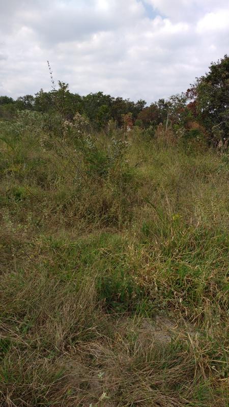 Lote, Centro, 0 Quarto, 1 Vaga