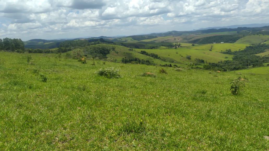 Fazenda, Zona Rural, 4 Quartos, 0 Vaga