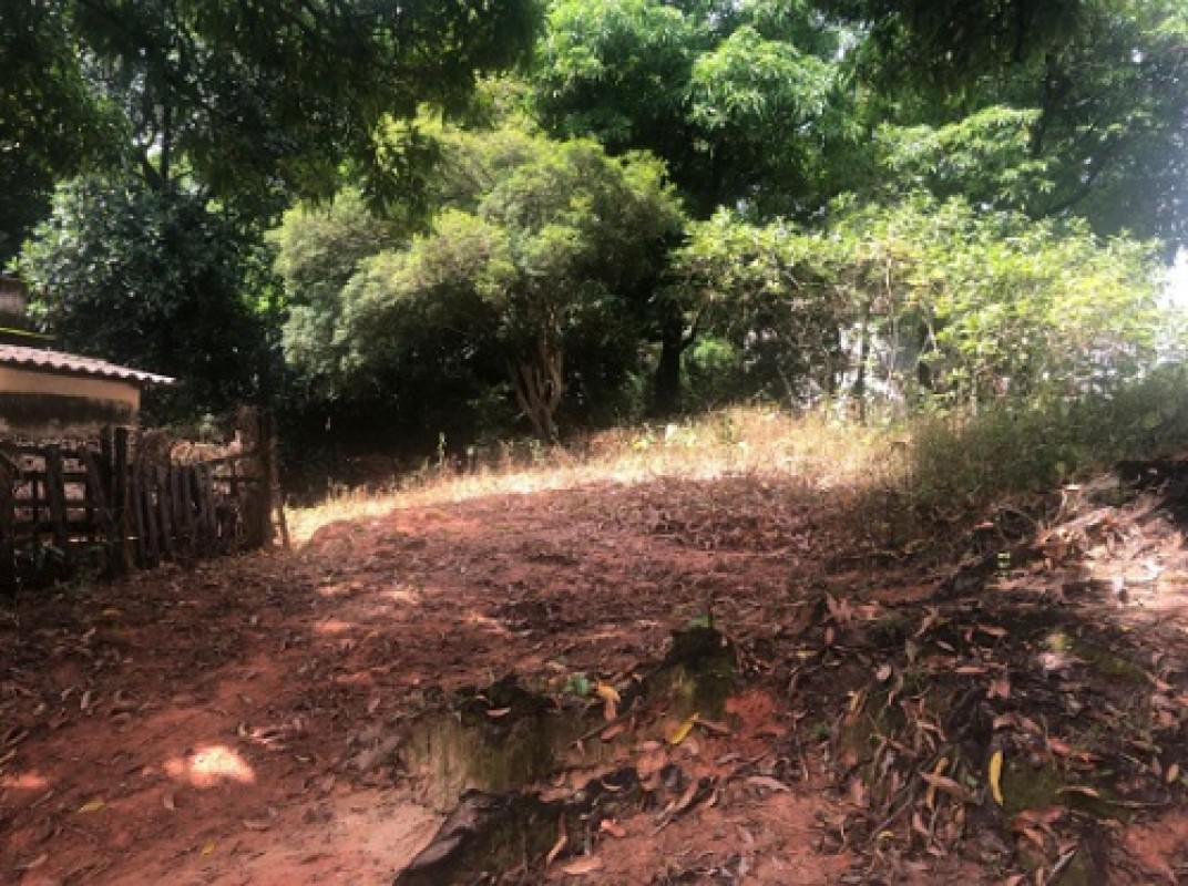 Lote, Borges, 0 Quarto, 20 Vagas