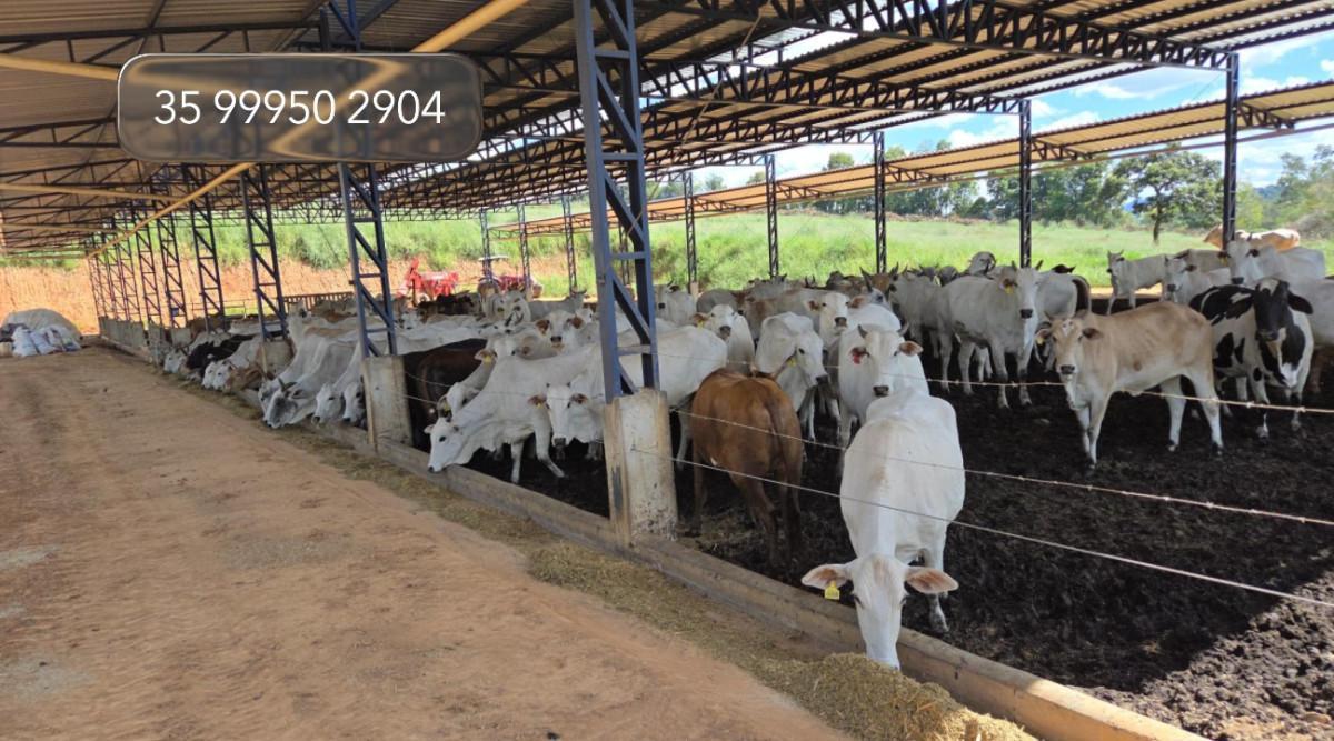 Fazenda, Zona Rural, 3 Quartos, 0 Vaga, 1 Suíte