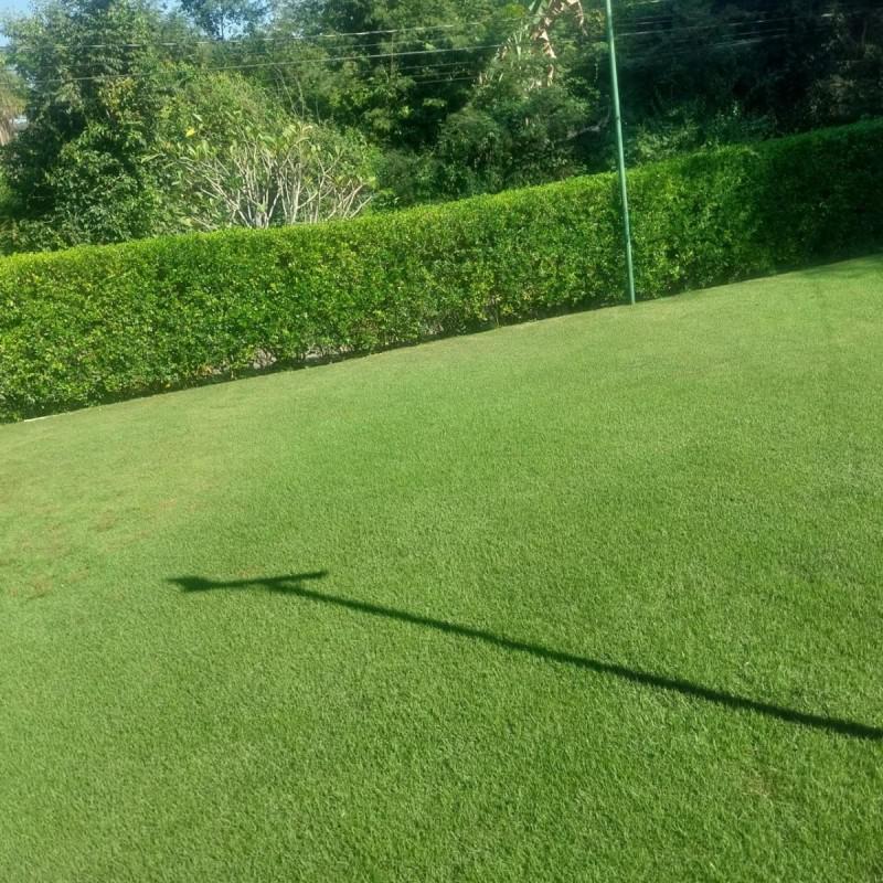 Fazenda, Palmital, 5 Quartos, 10 Vagas, 2 Suítes