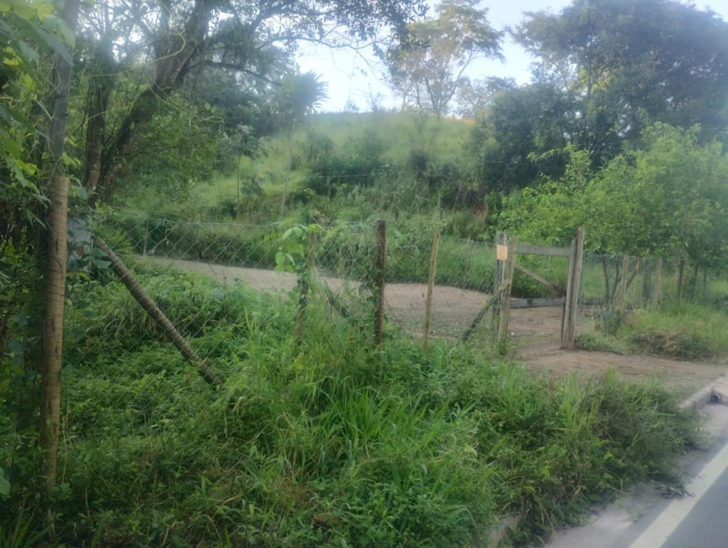 Fazenda, Centro, 0 Quarto, 0 Vaga