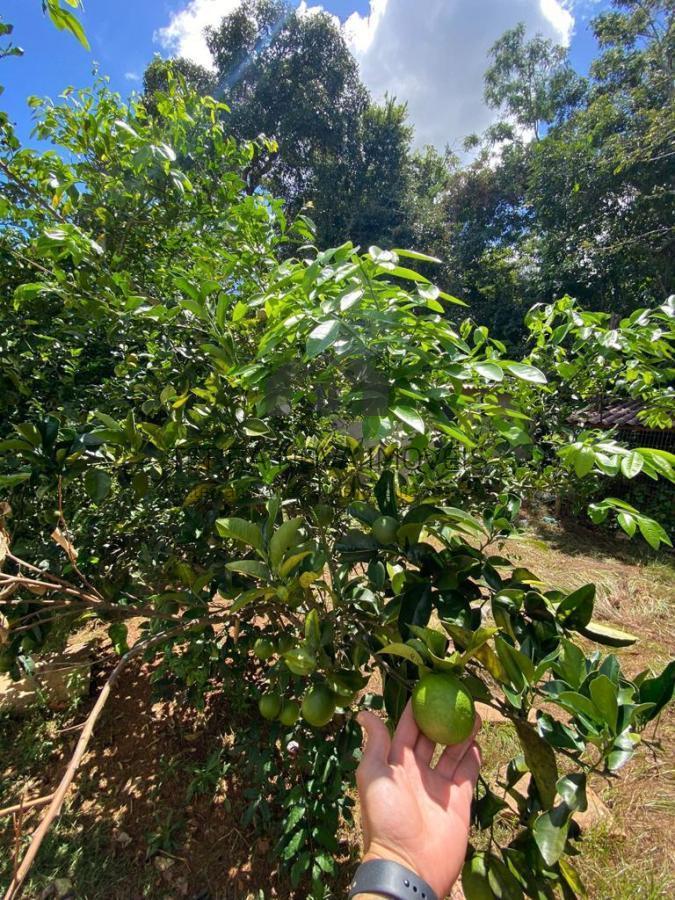 Casa em Condomínio, Condominio Recanto do Beija Flor, 1 Quarto