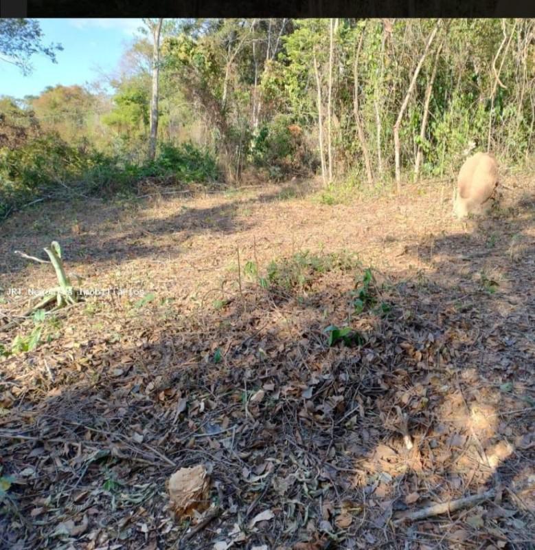 Lote, Vila Ipê Amarelo, 0 Quarto, 0 Vaga