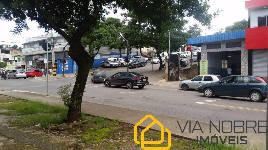 Lote, Palmeiras