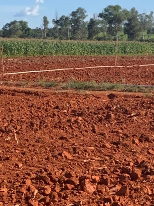 Fazenda, Zona Rural, 0 Quarto, 0 Vaga