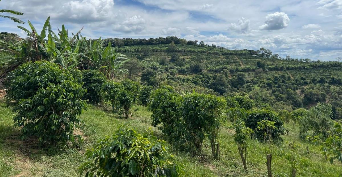 Fazenda, Zona Rural, 0 Quarto, 0 Vaga