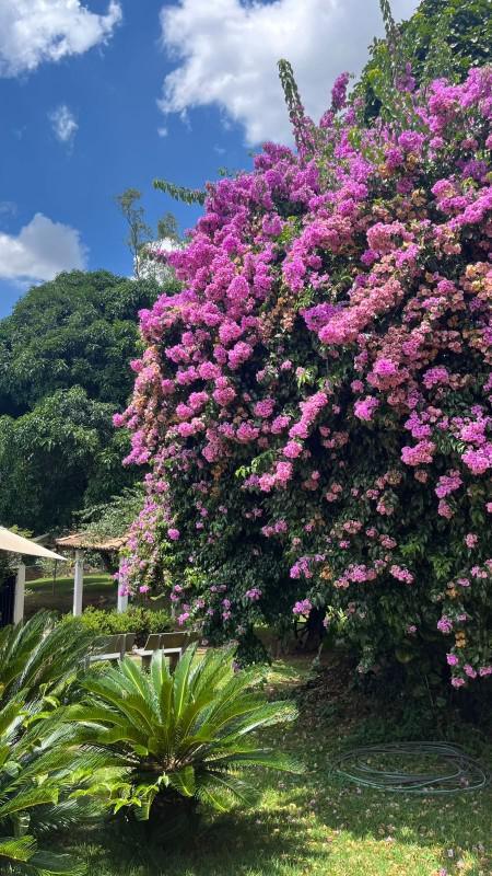 Fazenda, Nossa Senhora de Fátima, 3 Quartos, 5 Vagas, 2 Suítes