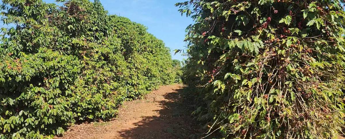 Fazenda, Zona Rural, 1 Quarto, 0 Vaga
