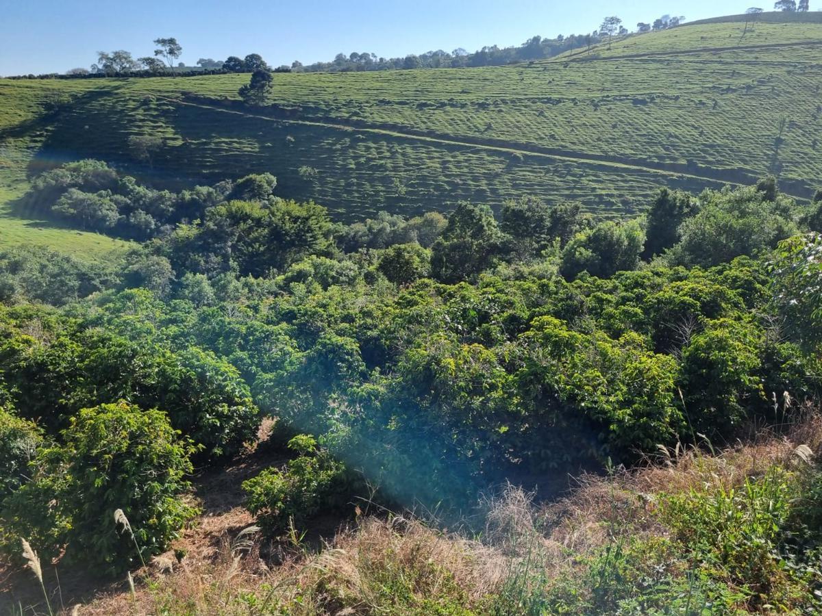 Fazenda, Zona Rural, 0 Quarto, 0 Vaga