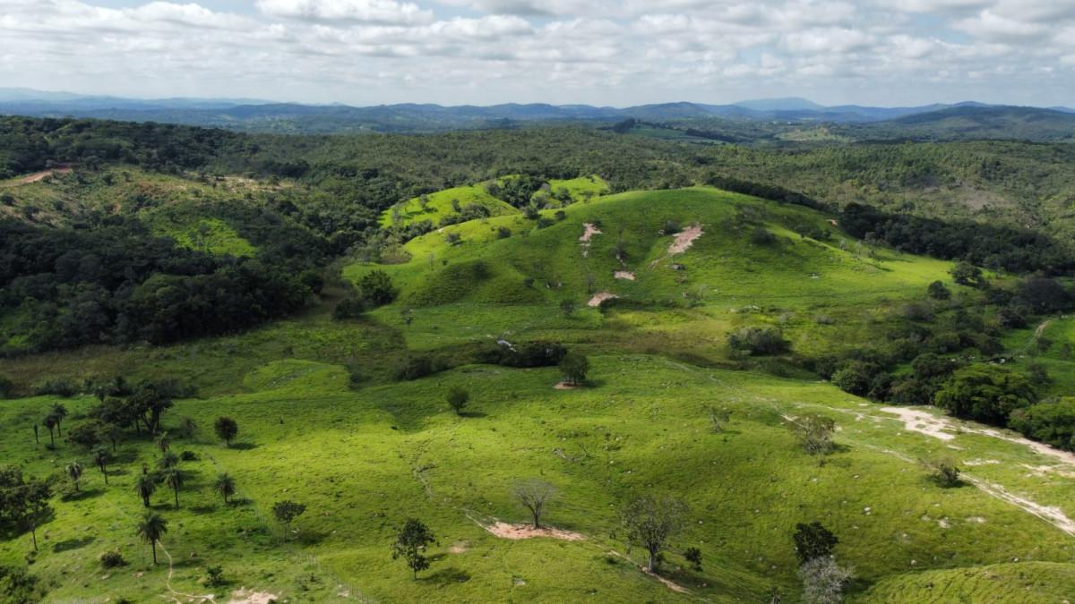 Fazenda, Centro, 0 Quarto, 0 Vaga