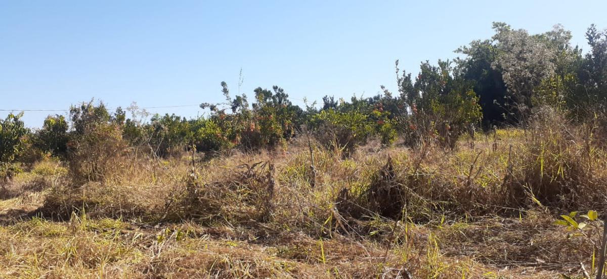 Lote, Centro, 3 Quartos, 0 Vaga