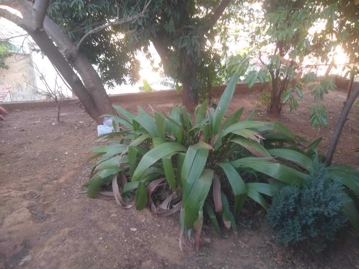 Casa, Goiânia, 4 Quartos, 4 Vagas, 1 Suíte